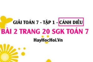 Giải bài 2 trang 20 Toán 7 Tập 1 SGK Cánh Diều